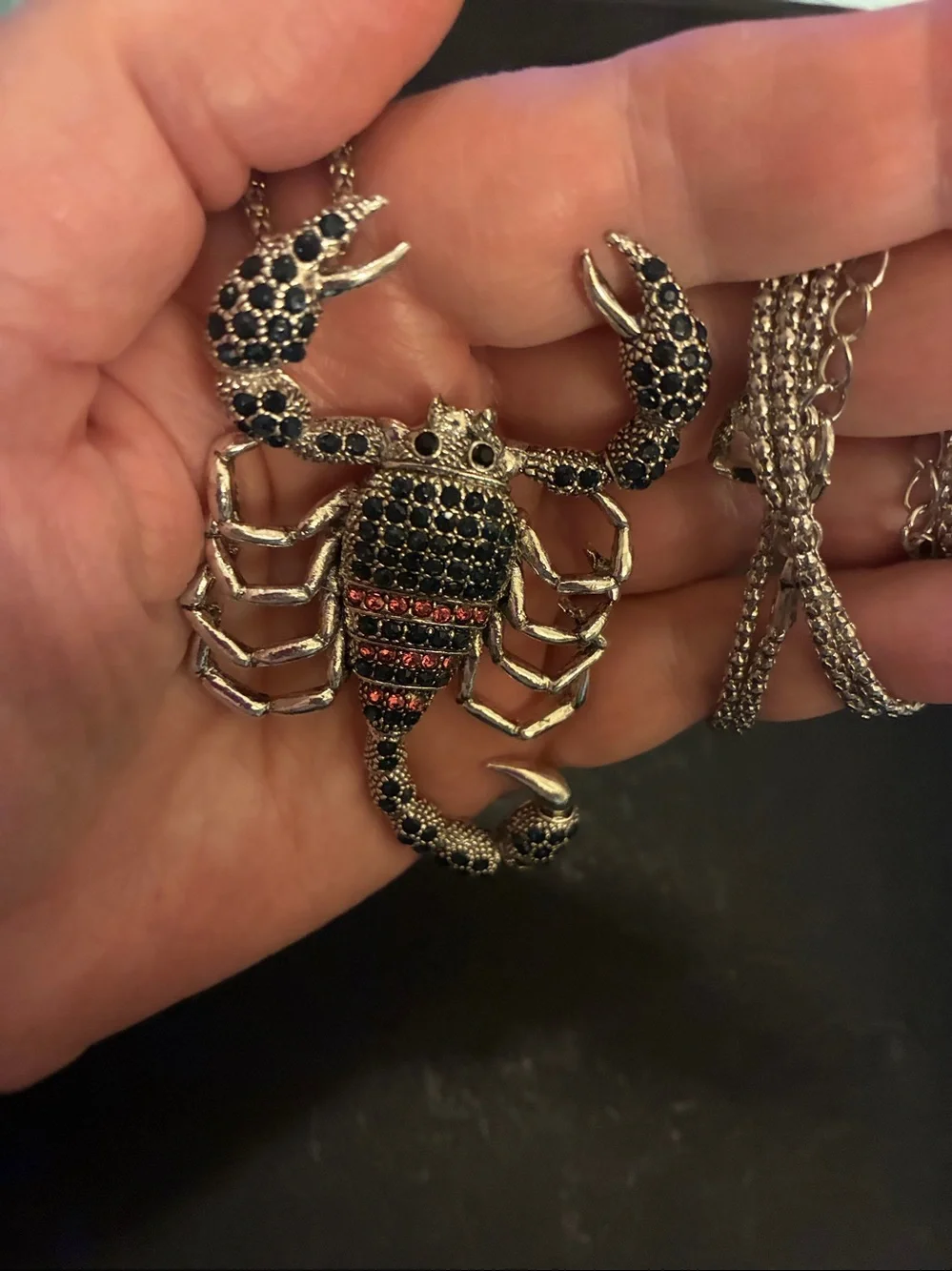 Scorpion Pendant Necklace - Black and Red Crystal Accent NWOT